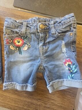 Vigoss Light Blue Embroidered Denim Shorts